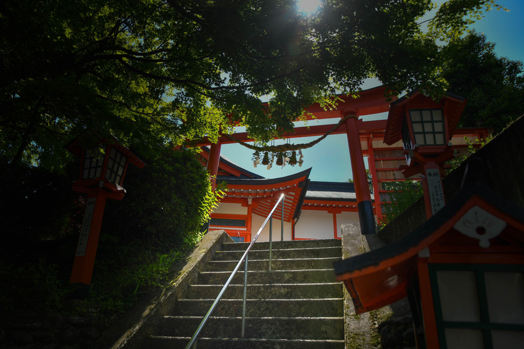 稲荷神社　裏参道