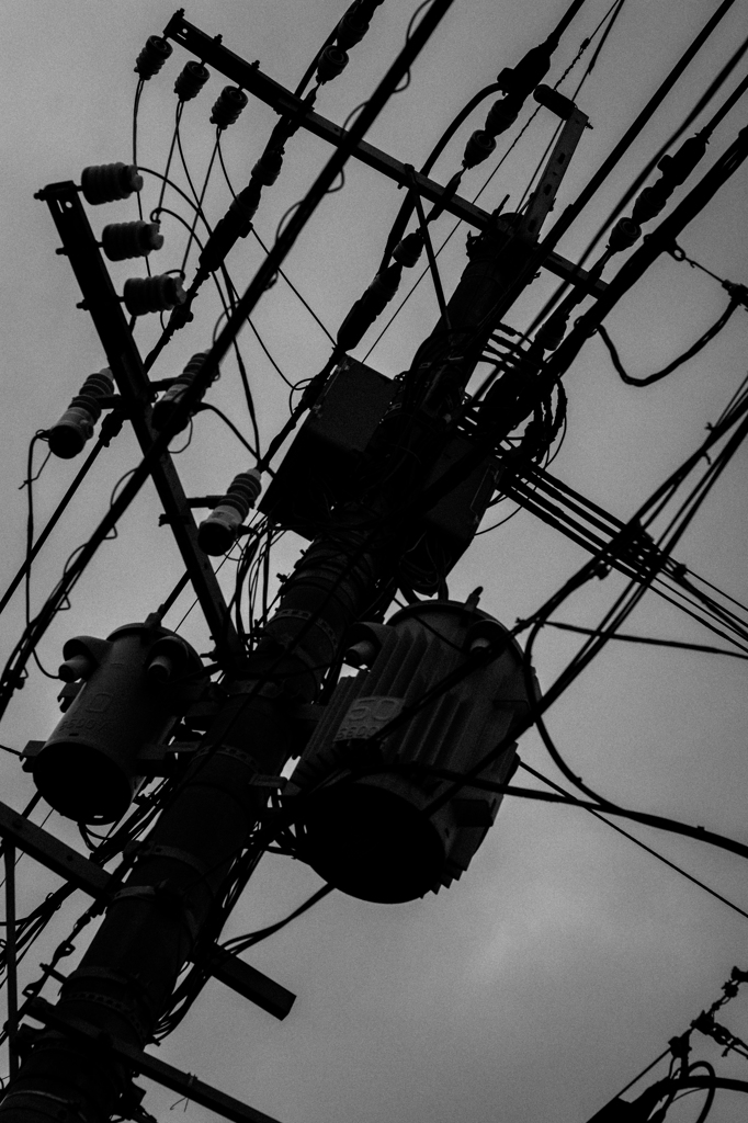 電柱