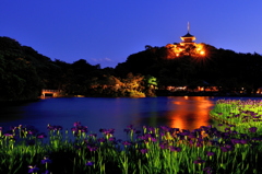 三渓園