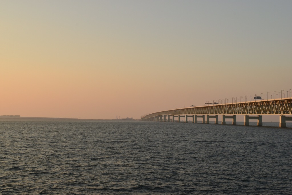希望の架け橋
