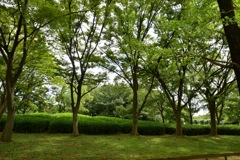 Green①