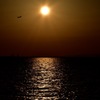 夕日に向かって