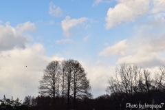 winter sky