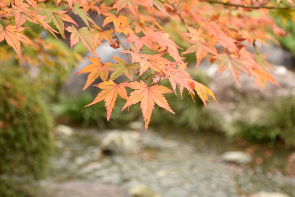 大仙公園