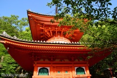 朱が映える