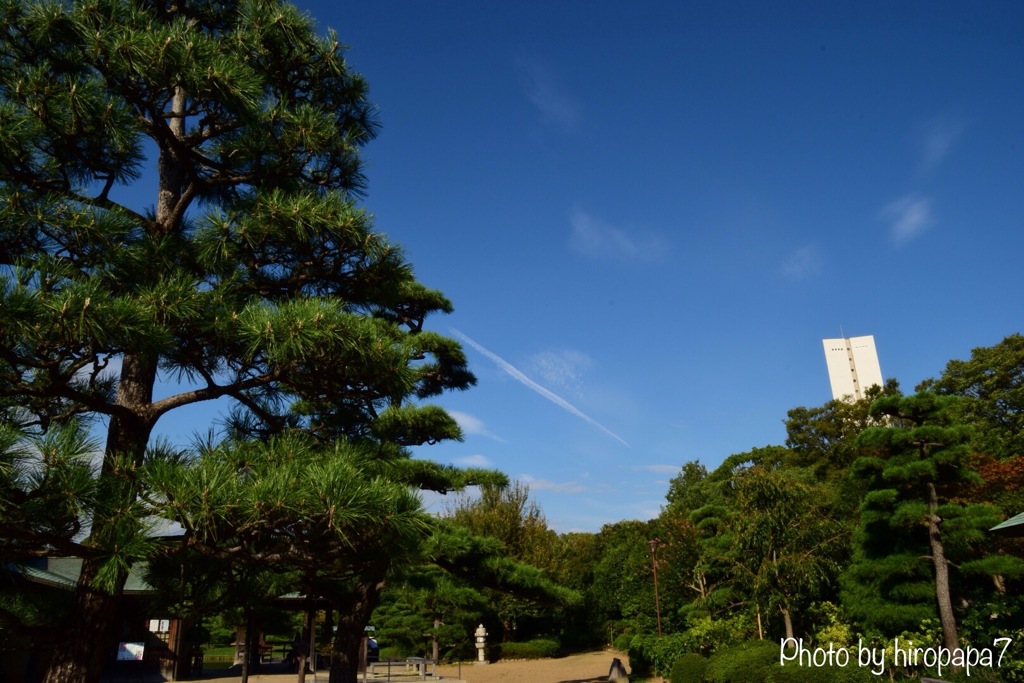 青空