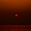 夕暮れ