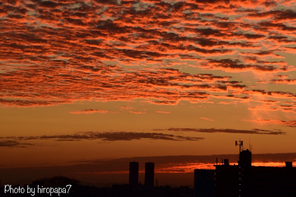 輝く鱗雲No1