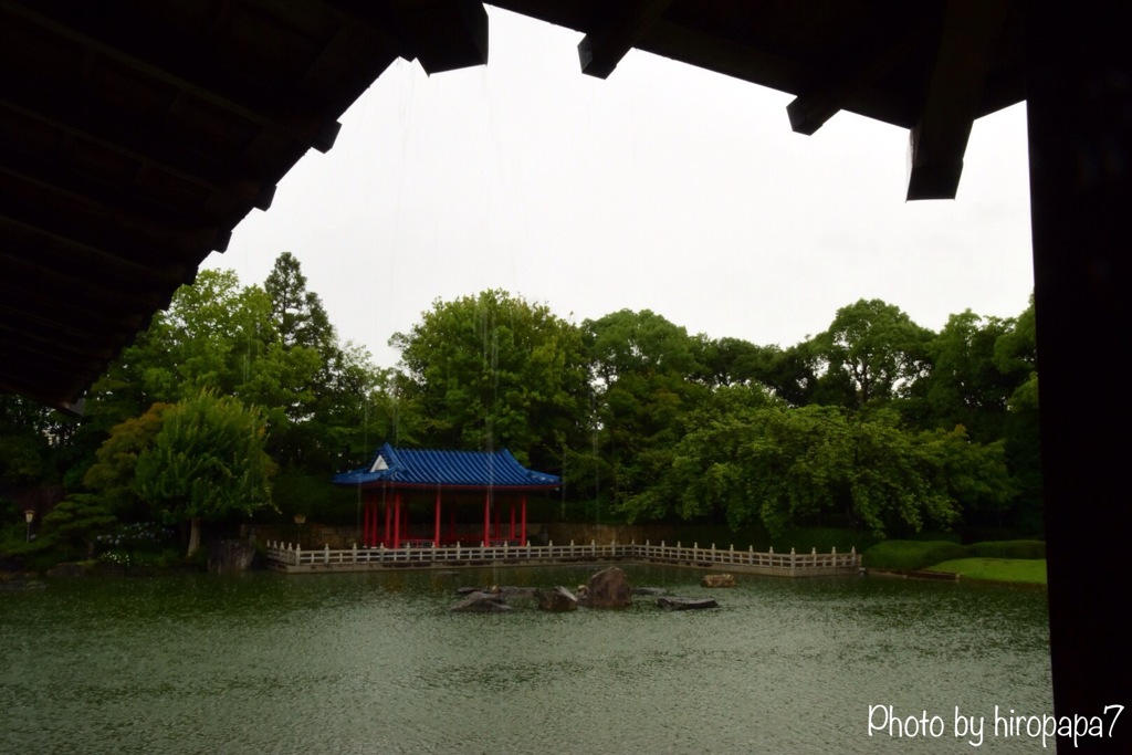 雨宿り