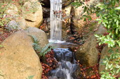神戸森林植物園