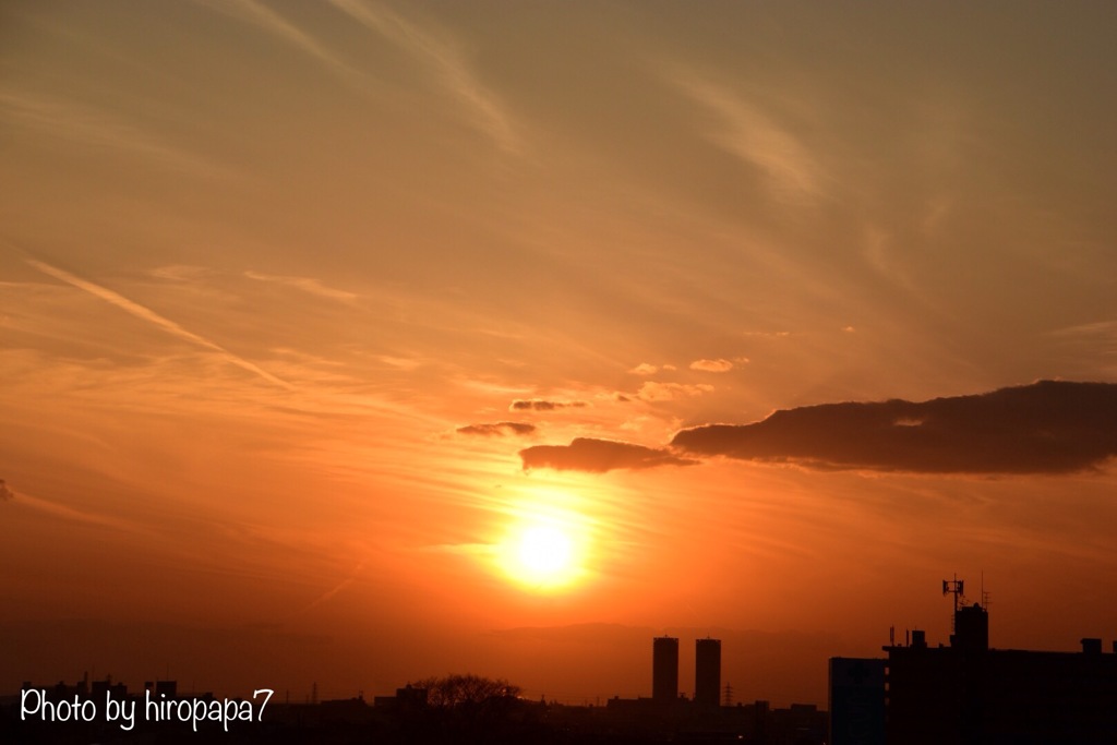 本日の夕景①