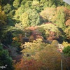 思い出