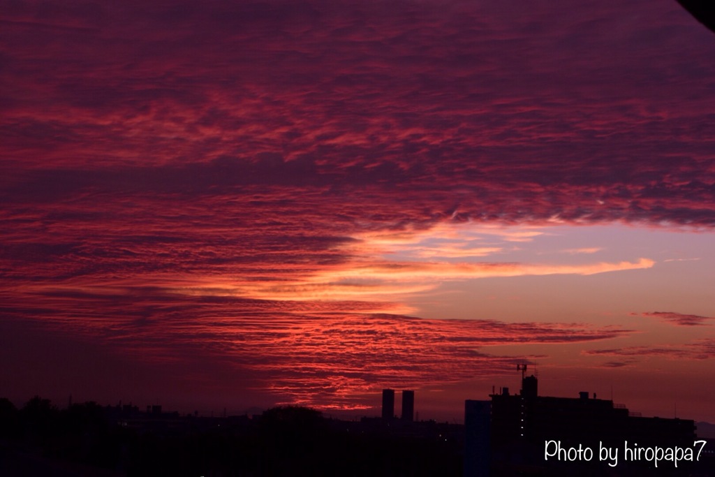 本日の夕景②