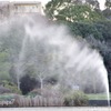 横風に煽られて