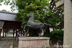 馬