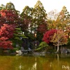 庭園の秋③