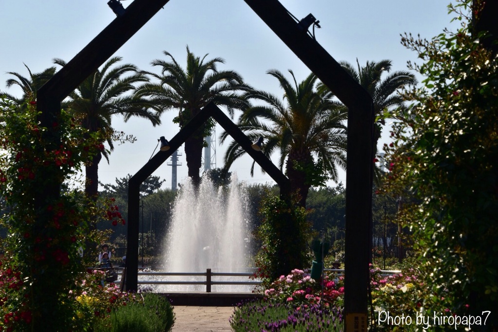 fountain