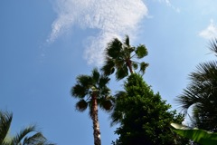 天高く
