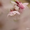 夢の中