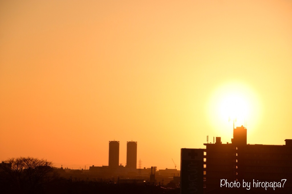 本日の夕景