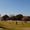 休日の公園