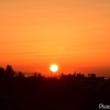 今日の夕日