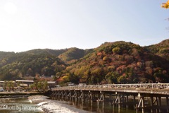 渡月橋