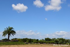 秋空
