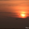 本日の夕景 その2