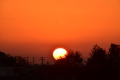 元旦の夕焼け