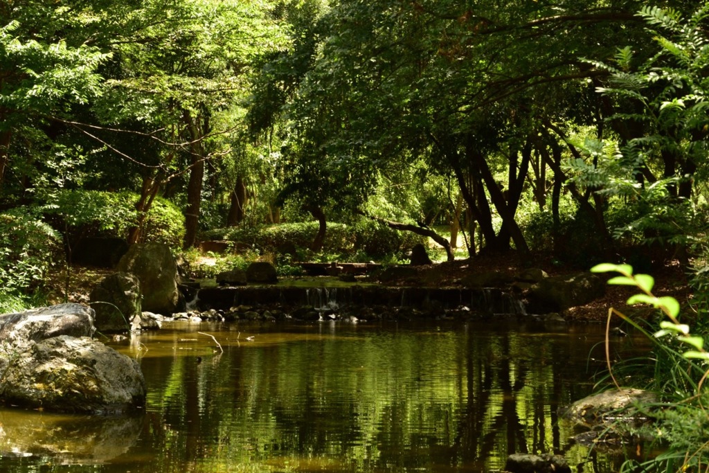 Nature