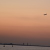 旅立ち