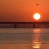 夕日