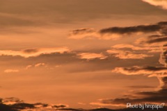 本日の夕景