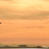 夕焼けに浮かぶ関西国際空港
