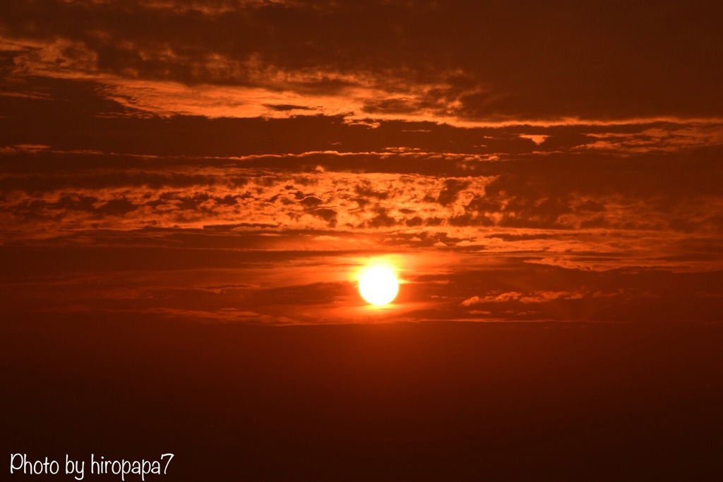 夕日に染まる雲