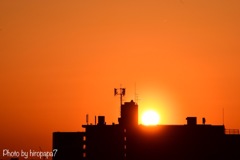 夕日