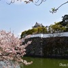 岸和田城