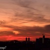 夕景