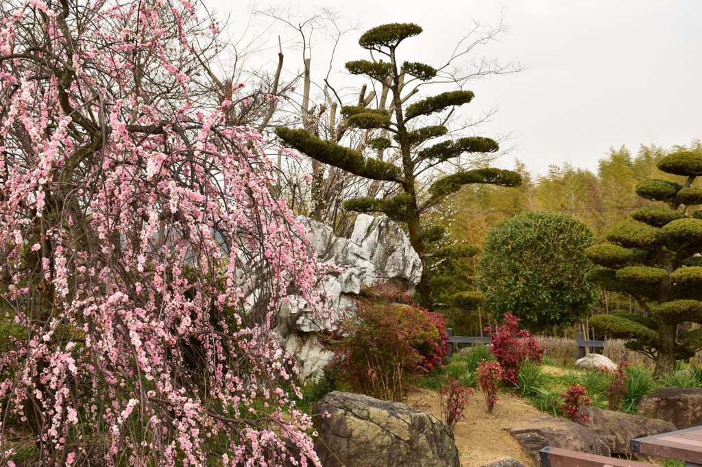 日本庭園