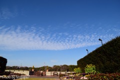 青空に雲