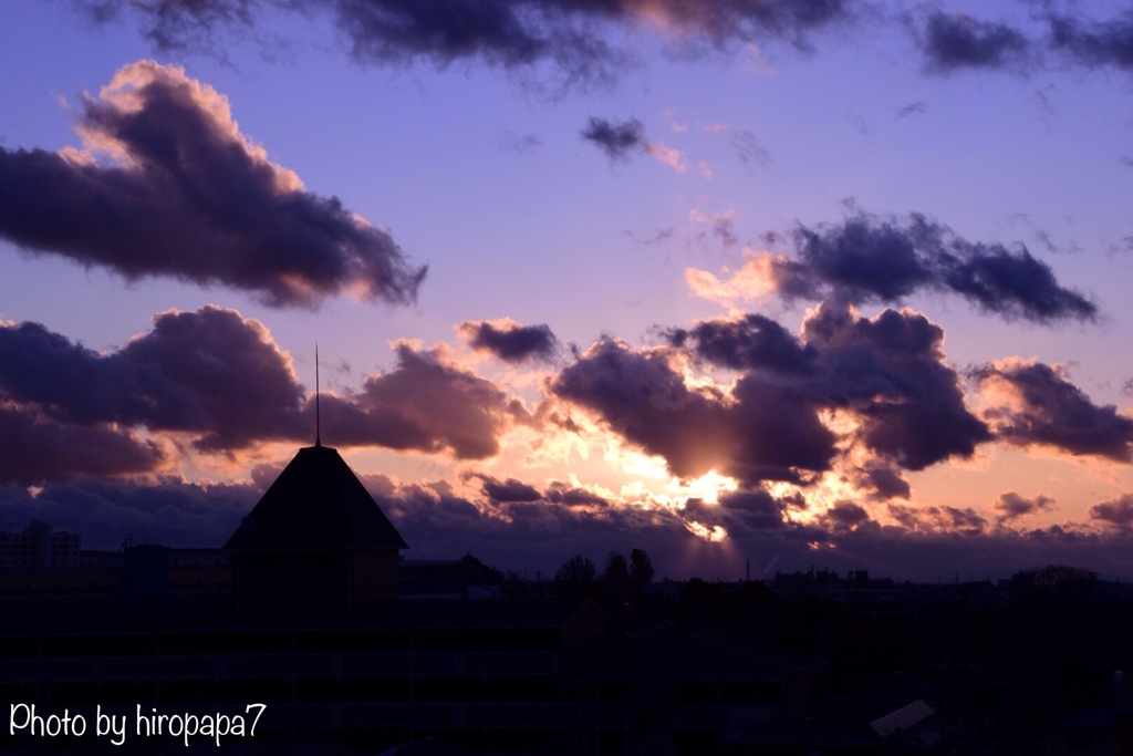 本日の夕景②