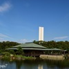 晴天の庭園