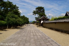 続く続く