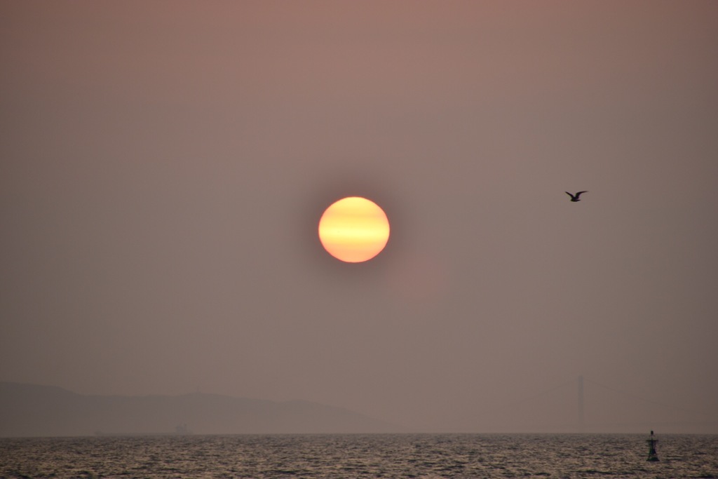 夕日が浮かぶ