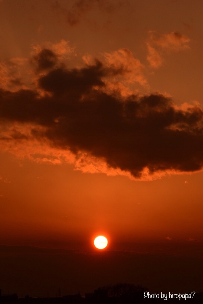 本日の夕景
