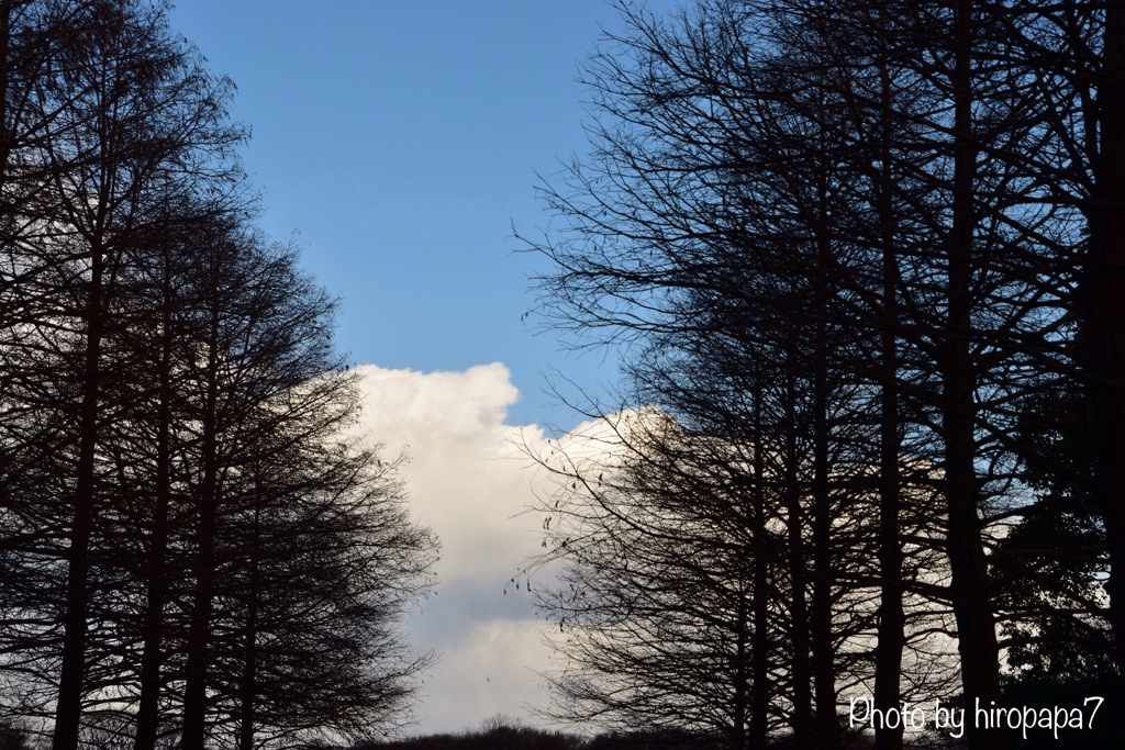 冬空