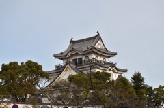 岸和田城No.2