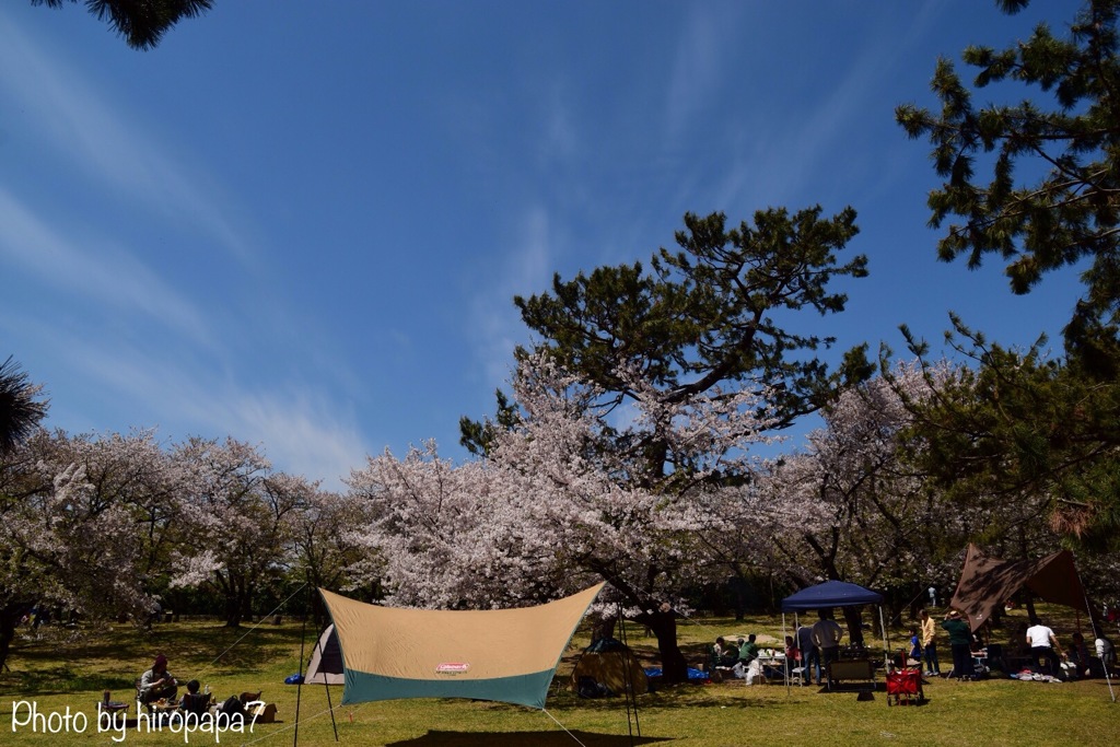 休日の公園