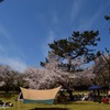 休日の公園